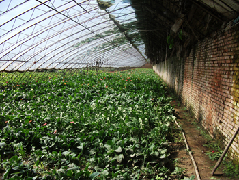 �������[�����д���]