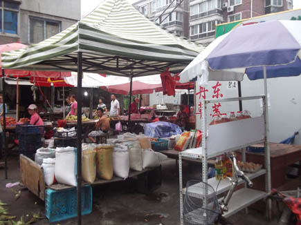 ���͵����[�������ͨ���]