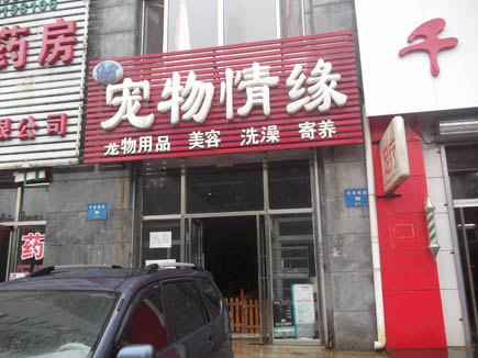 宠物店出兑[铁西区]