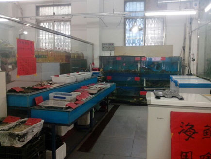 ���ʵ��ڳ���[�ʹ���]