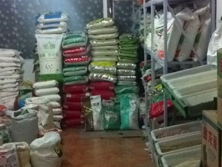 ���͵����[����]